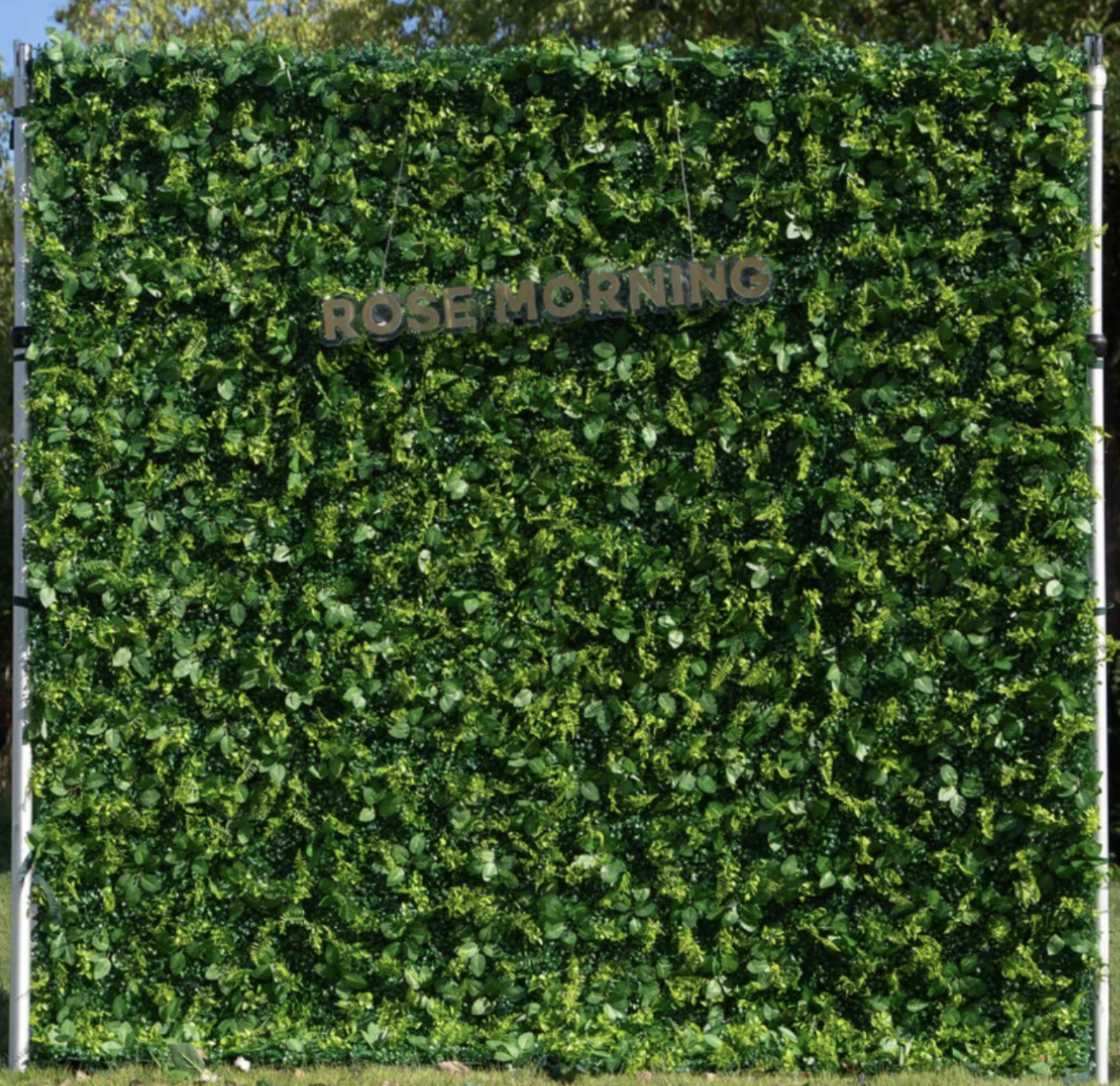 Green Flower Wall